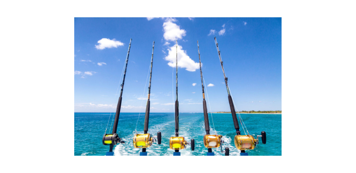 Fishing Trip